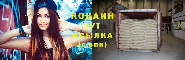 шишки Богородицк