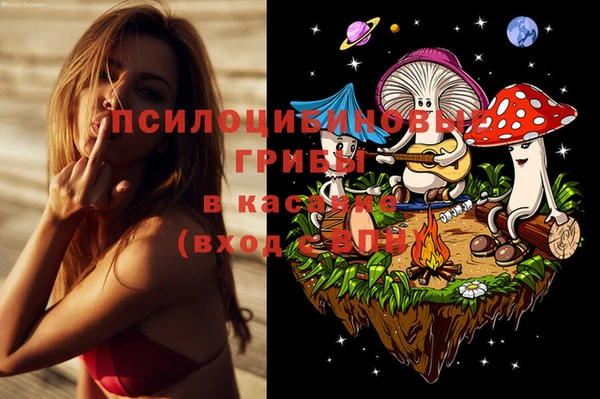 а пвп мука Бронницы