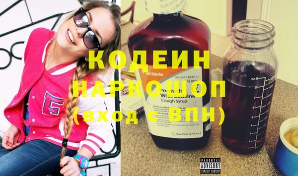 спиды Бородино