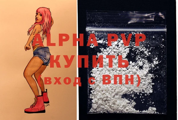 шишки Богородицк