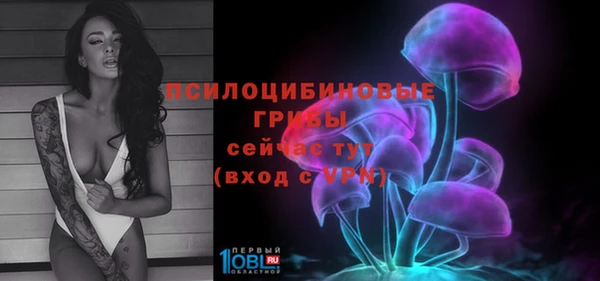 шишки Богородицк