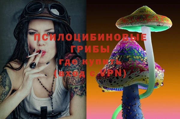 МДПВ Богданович