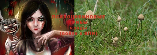 МДПВ Богданович