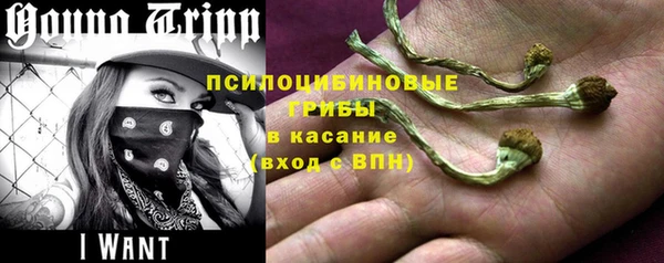 мяу мяу мука Бугульма