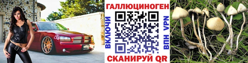 Псилоцибиновые грибы Psilocybine cubensis купить наркотик Шахунья